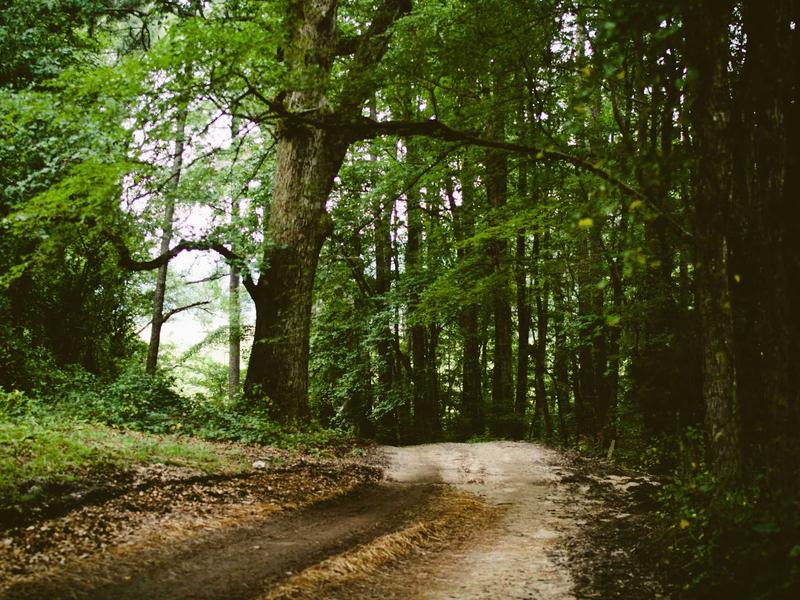 sudoku strategy guide